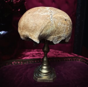 Image of Male Human Skull 