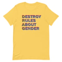 Image 3 of Destroy Rules About Gender
