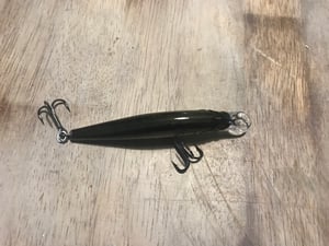 Image of Mud Minnow Rockstar