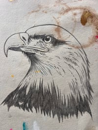 Image 3 of Eagle Study#1
