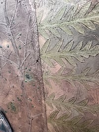 Image 3 of Storm Tent- Vinnie Sutherland