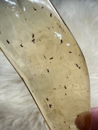 Image 5 of Copal Amber With Preserved Insects #2357