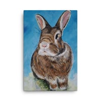 Image 1 of Brown Bunny