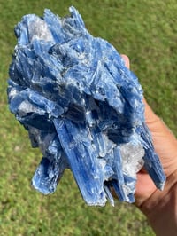Image 8 of Blue Kyanite In Quartz Specimen #1783