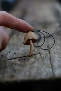 Image 2 of Oak Wood Liberty Cap Mushroom 