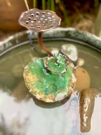 Image 4 of 🫶🏼🍃Lotus🍃🫶🏼