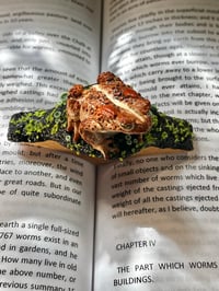 Image 3 of Toad Page Holder