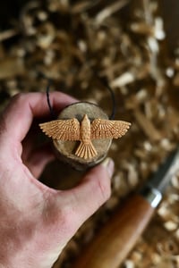 Image 7 of  Raven Pendant Necklace