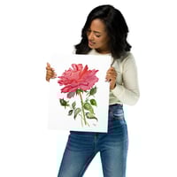 Image 3 of The Rose- poster print