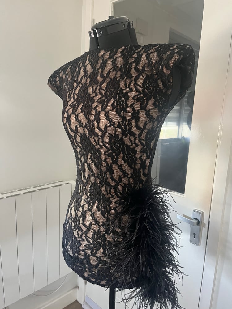 Image of Ari lace feather dress