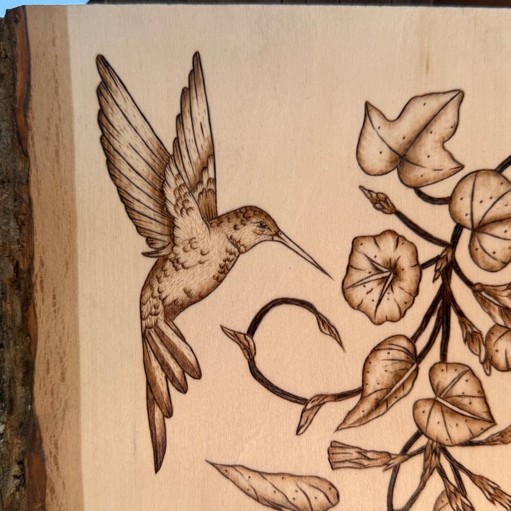Image of hummingbird twins propogation station wood art