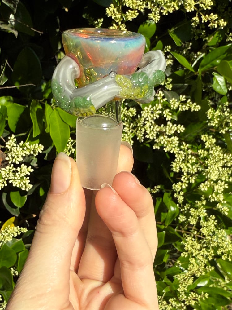 Image of Fantasy Forest 18 mm Slide  #2