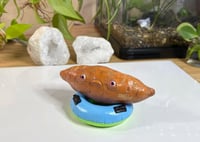 Image 1 of Sweet Potato on a Pool Floatie