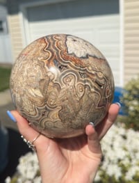 Image 4 of XXL BEAUTIFULLY BANDED MEXICAN LACE AGATE SPHERE