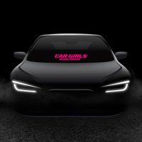 Worldwide Windshield Banner 