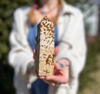 Image 4 of Ocean Jasper Tower