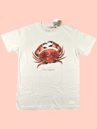 Image 3 of T-shirt GRANCIPORRO