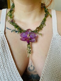 Image 7 of 🌿💜Orchid in Mosslight💜🌿