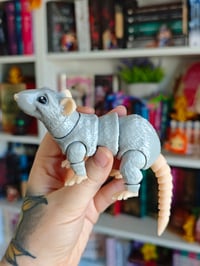 Image 3 of Rata gris claro 