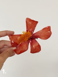 Image 2 of Flor de Maga 2.0 | Hair Clip 1 & 2