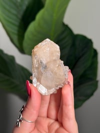 Image 1 of BOWTIE STILBITE X DIAMOND APOPHYLITE -INDIA- H