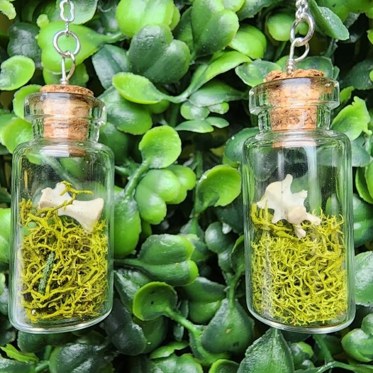 Image of mossy squirrel vertebrae jar earrings