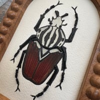 Image 3 of Water colour beetle (a, 4x6 inches)