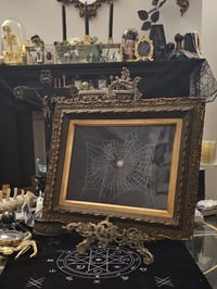 Image 1 of Large Antique Framed Web 