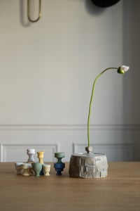 Image 1 of Boite bleue avec six diffuseurs d'huile essentielle 