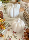 White Ceramic Pumpkins ( Set or Singles )