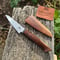 Image of 110mm Paring Knife AEB-L Myall
