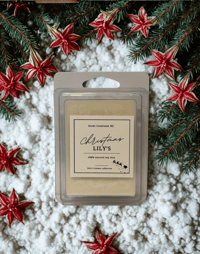 Image 4 of Christmas collection soy wax melts 