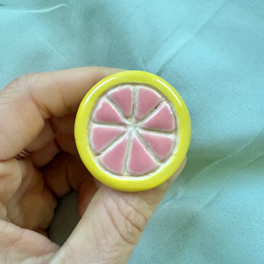 image of citrus magnets