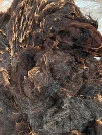 Image 1 of #29 Raw Harting Black Fleece - Dark Brown 