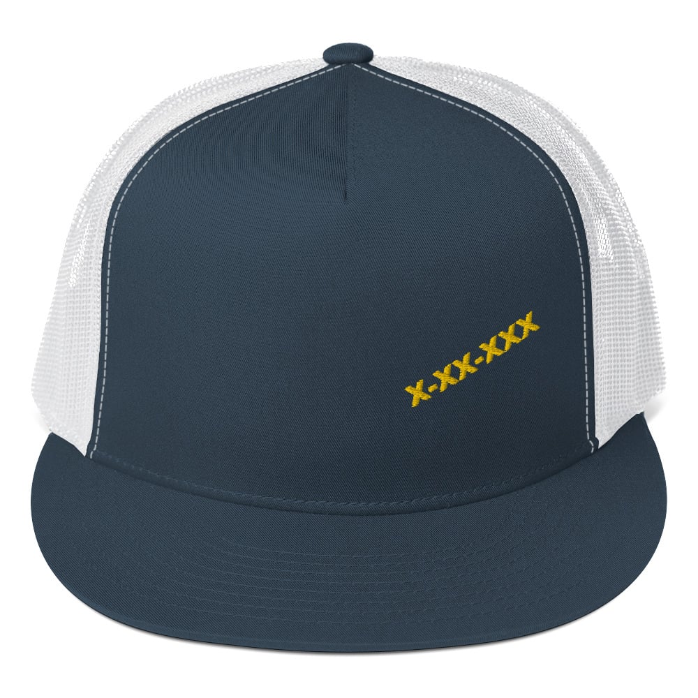 V PANEL TRUCKER HAT