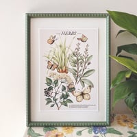 Image 1 of herbs