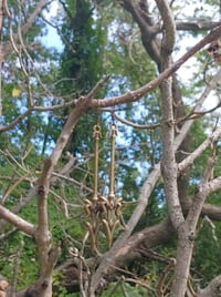 Image 5 of Large Sword and Dagger Collection