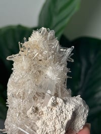 Image 2 of COLOMBIAN NEEDLE QUARTZ D