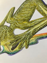 Image 2 of Faceplant