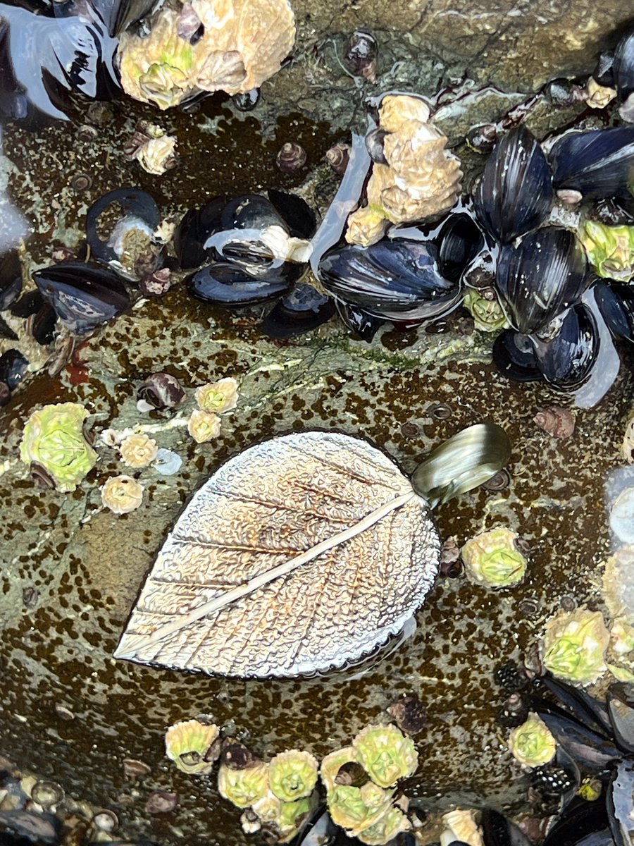 Image of Wet Metal Leaf Pendant