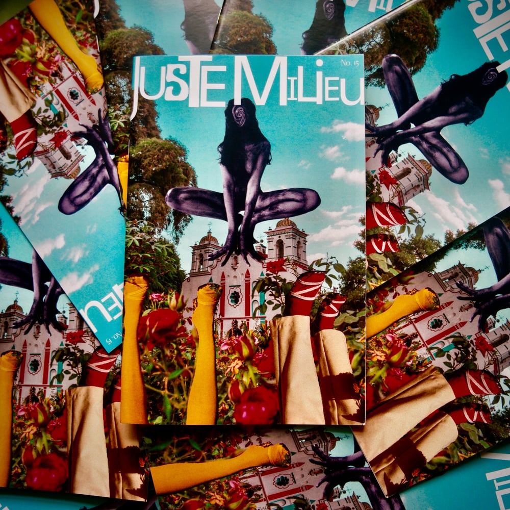 Image of Juste Milieu Issue 15