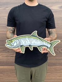 Tarpon Wood Print