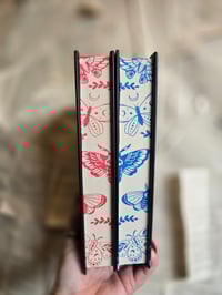 Image 5 of Kristen Ciccarelli | The Crimson Moth Duo | Hardback 