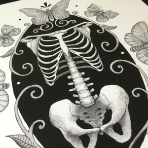 Skeleton With Moths And Butterflies print