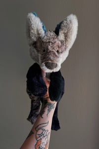 Image 3 of Pre-Order Mystery NEUTRAL color block Wolf