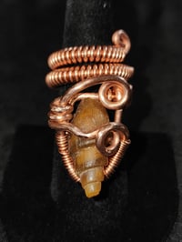 Adjustable Fossil Shell Carnelian Ring #1, Western Sahara, Morocco