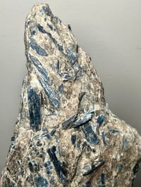 Image 11 of Kyanite in Quartz feldspar schist | Brazil #2686
