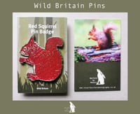 Red Squirrel - #2 - Wild Britain Series