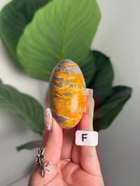 Image 6 of HIGH QUALITY BUMBLE BEE JASPER SHIVAS -INDONESIA-