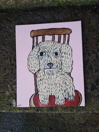 Image 1 of Crusty Dog